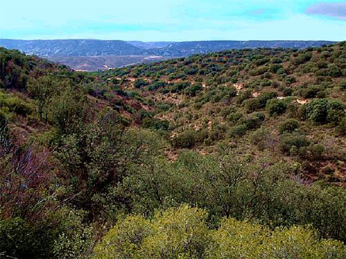 Armillas (Teruel)