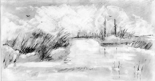 Paisaje