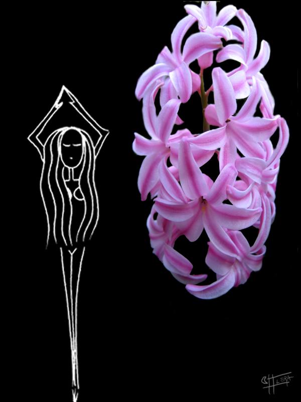 Selecci�n de Poemas 6