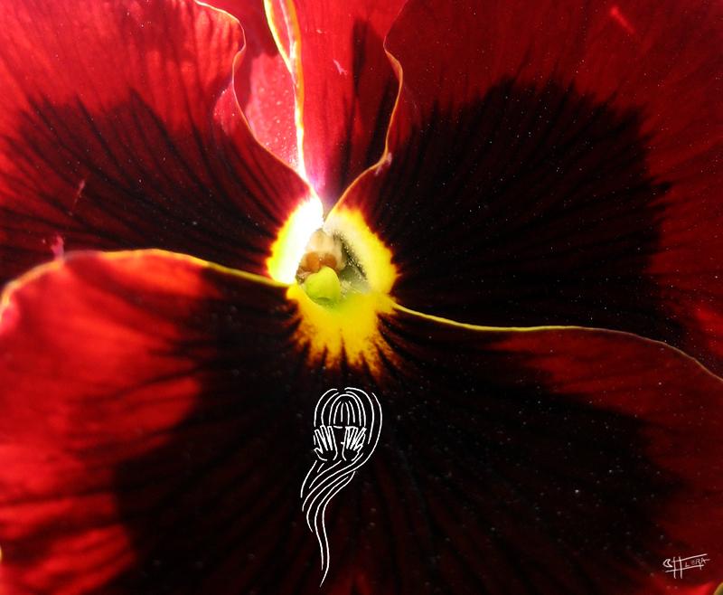 Selecci�n de Poemas 8