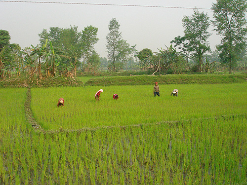 Nepal 4