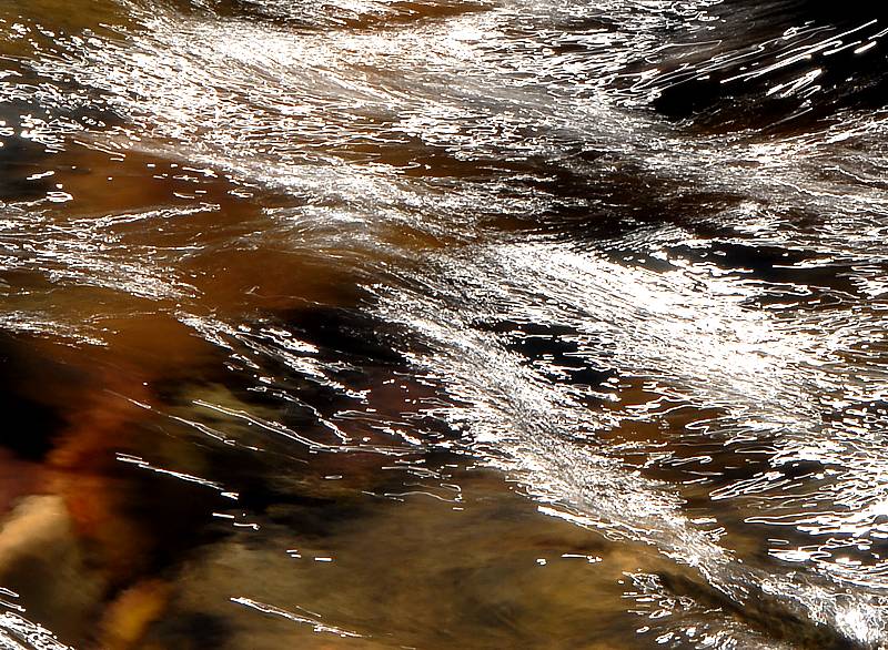 Miguel Angel Latorre, Agua a fondo