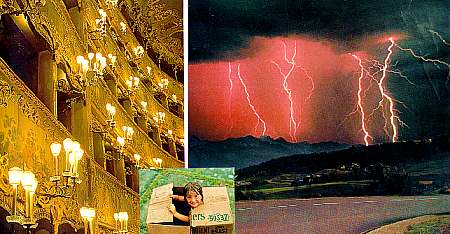 collage 7