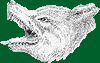 lobo