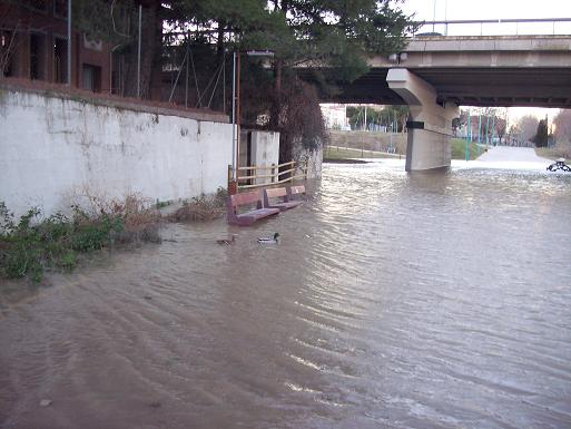 El Ebro en Zaragoza 2009. 10