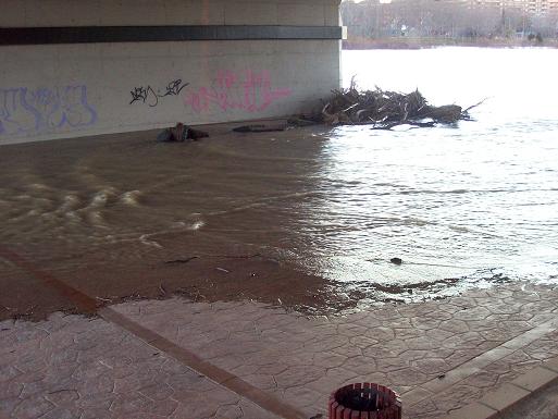El Ebro en Zaragoza 2009. 20