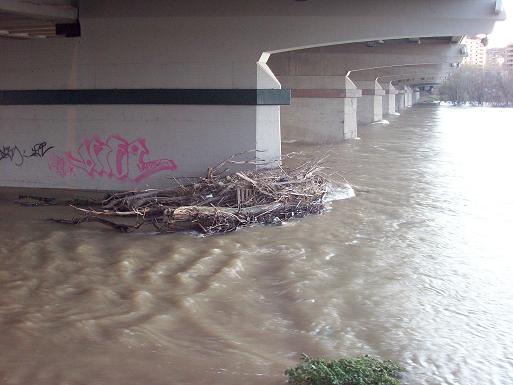 El Ebro en Zaragoza 2009. 21