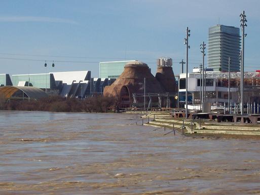 Zaragoza 2009, 14 de febrero. 44
