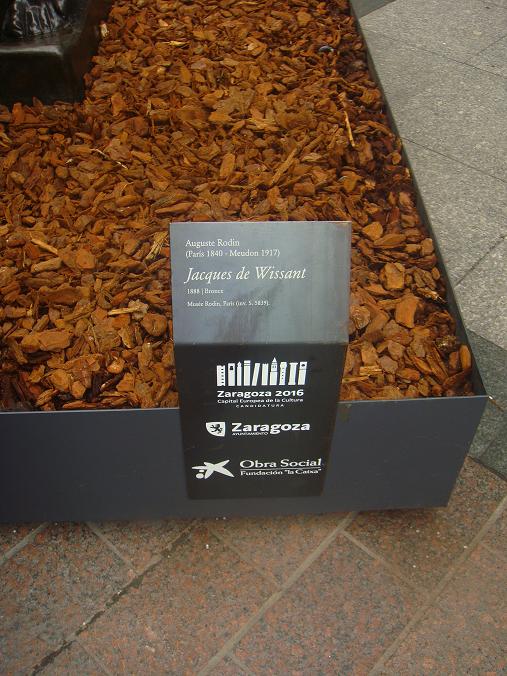 Exposición en las calles el 27 de febrero de 2010 por Zaragoza. 07