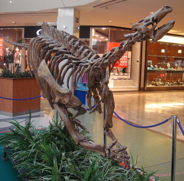 Dinosaurios. Exposición de dinosaurios procedentes de Dinopolis en Gran Casa  de Zaragoza el 30 de junio