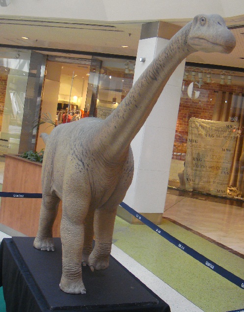 Dinosaurios. Exposición de dinosaurios procedentes de Dinopolis en Gran Casa de Zaragoza, 30 de junio de 2011. 07