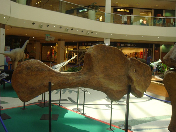 Dinosaurios. Exposición de dinosaurios procedentes de Dinopolis en Gran Casa de Zaragoza el 30 de junio de 2011. 14