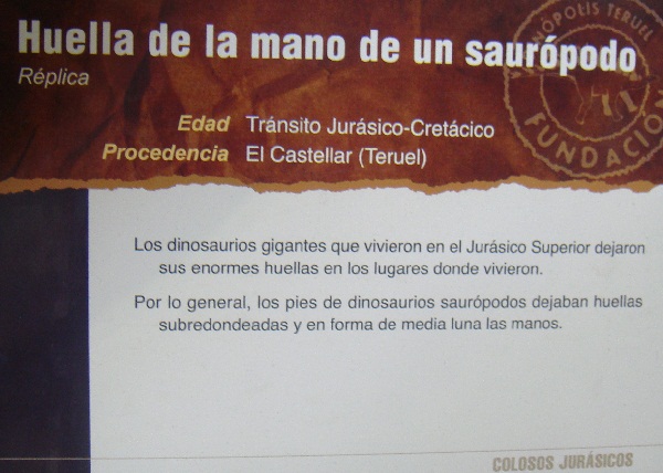 Dinosaurios. Exposición de dinosaurios procedentes de Dinopolis en Gran Casa de Zaragoza el 30 de junio de 2011. 16