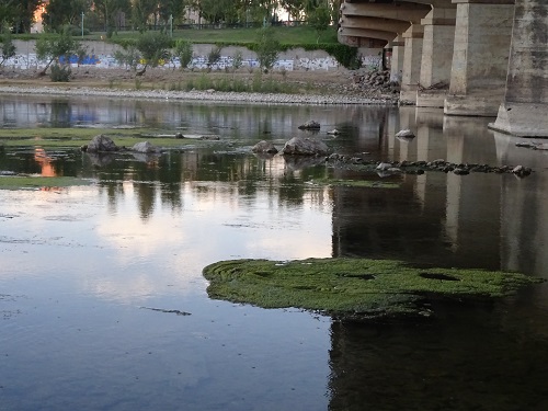 Paseo por Zaragoza Capital. 12 de agosto de 2017. Puente Almozara. 20