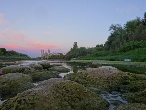 Zaragoza Capital. Vegetación de aguas someras en los brazos estancados del Ebro que ha creado el bajo caudal durante meses. 34
